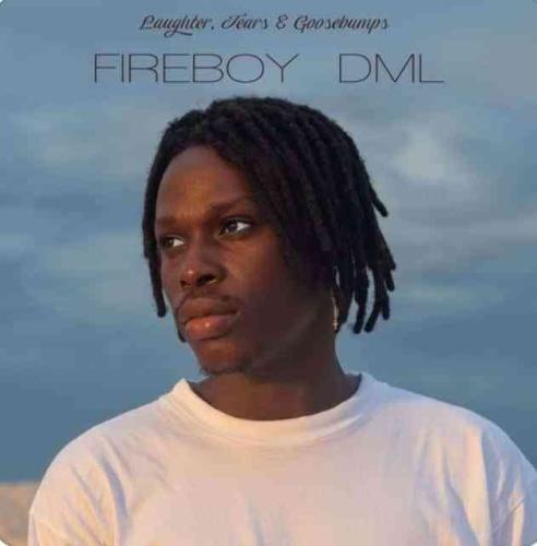 Fireboy DML - Like I Do Mp3 Audio Download