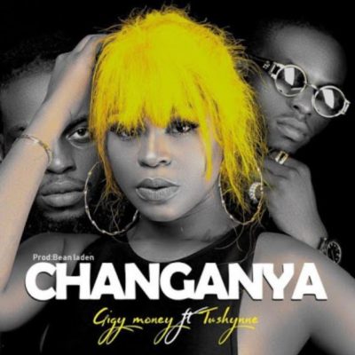 Gigy Money ft. Tushynne &#8211; Changanya (Audio + Video)