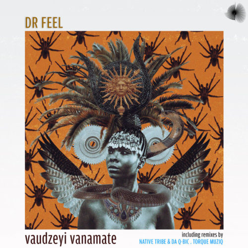 Dr Feel - Vaudzeyi Vanamate EP